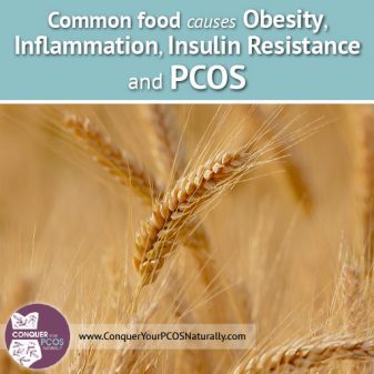 Common Food Causes Obesity, Inflammation, Insulin Resistance and PCOS