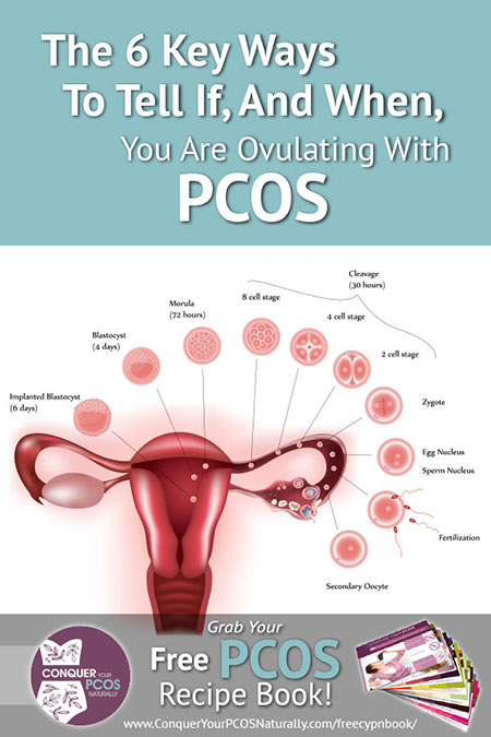 The 6 Key Ways To Tell If, And When, You Are Ovulating With PCOS
