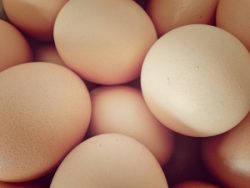 eggs and the pcos diet